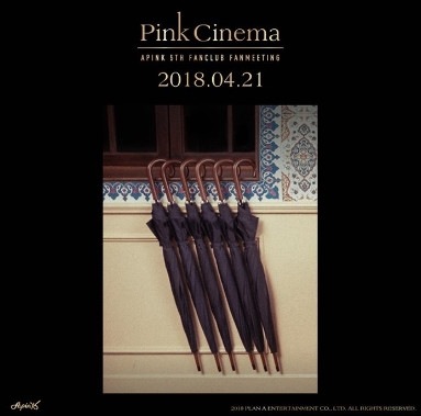 APINK韓国ファンミーティングチケット代行［APINK PANDA ５TH FANMEETING PINK CINEMA］